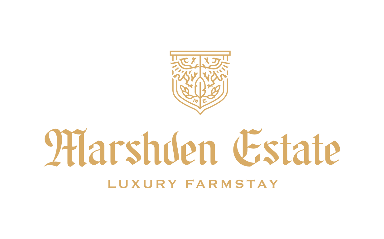 logo-img
